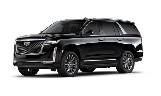 Luxury Noir SUV