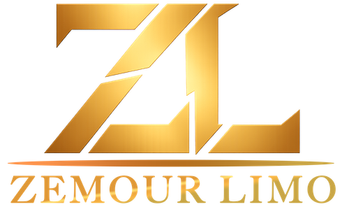 ZEMOUR LLC